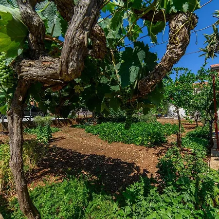 Apartman More شقة *