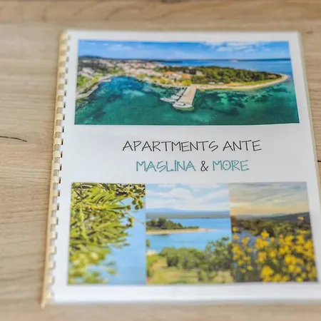 Apartman More דירה שיבניק