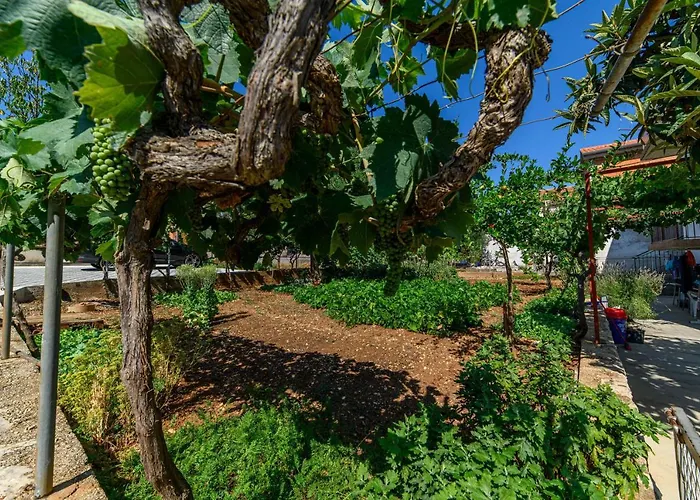 Apartman More Apartman *